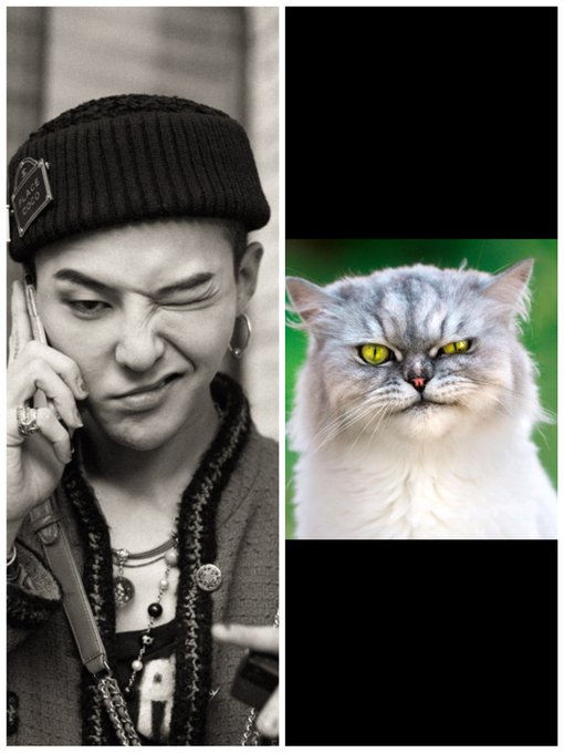 #GDRAGON  @YG_GlobalVIP https://t.co/RG6zBNoj9Y<a href="/tag/gdragon"class="tags">#GDRAGON</a><a class="tags" target="_blank" title="On Twitter" href="/?out=eyJ0eXAiOiJKV1QiLCJhbGciOiJIUzUxMiJ9.eyJpYXQiOjE3MjUwNzY3NzEsImlzcyI6InR3cG9ybnN0YXJzLmNvbSIsIm5iZiI6MTcyNTA3Njc3MSwiZXhwIjoxNzU2NjEyNzcxLCJyZWRpcmVjdF91cmwiOiJodHRwczovL3R3aXR0ZXIuY29tL1lHX0dsb2JhbFZJUCJ9.ywPf0Y7KvmYpT7FUi0vjlAj5FfY_fEUIGOBWpll88mUGgYS5JDkNafZVRRRTuverJWgsuC79P-nMnK3EBd6nHw">@YG_GlobalVIP</a>