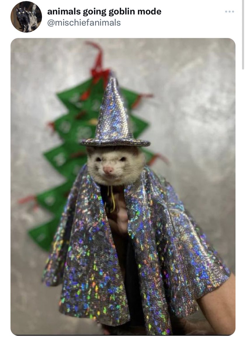museumjilwrites's tweet photo. the tiny animals are going goblin https://t.co/hq9bDHYzkz