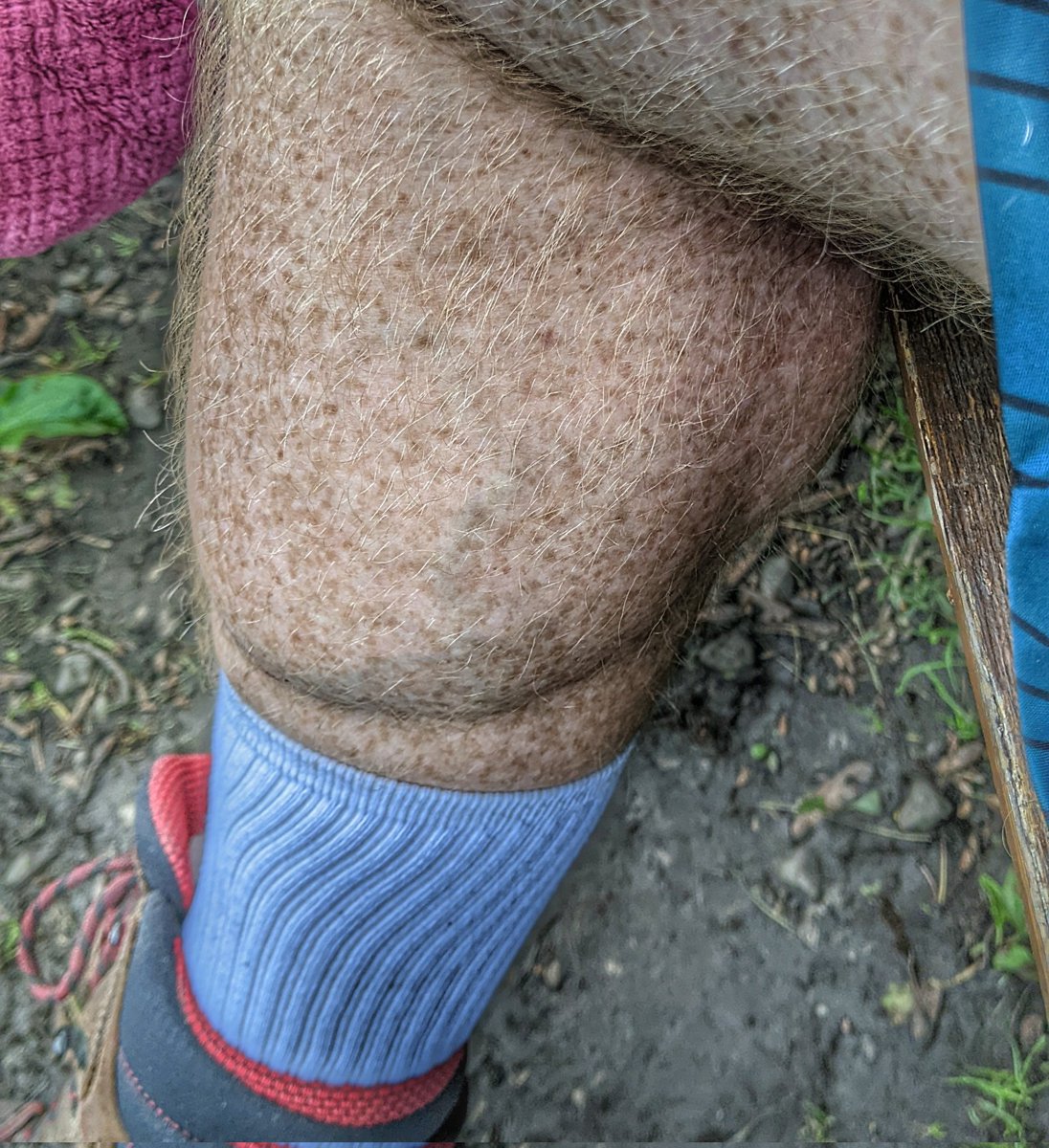 gingerwarrior44's tweet photo. https://t.co/D7uJGZTiap
#calves #musclegrowth #muscularcalves #musclehero https://t.co/WZJTpNi1SL