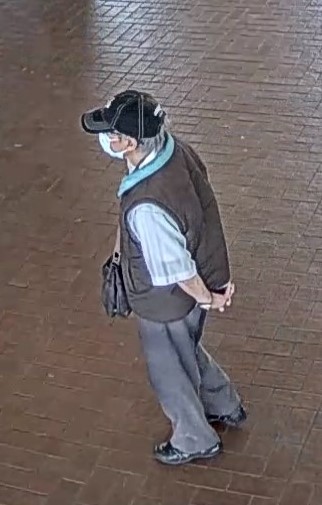 MISSING: Tam Bang, 87 - Last seen May 28, at 2:30 pm, Kennedy Subway Station - 5'0, Blue Jays baseball cap, glasses, light blue t-shirt, - Brown vest, brown pants, black shoes, brown satchel, blue mask - Anyone with info 416 808-4100 #GO1005471 ^dh