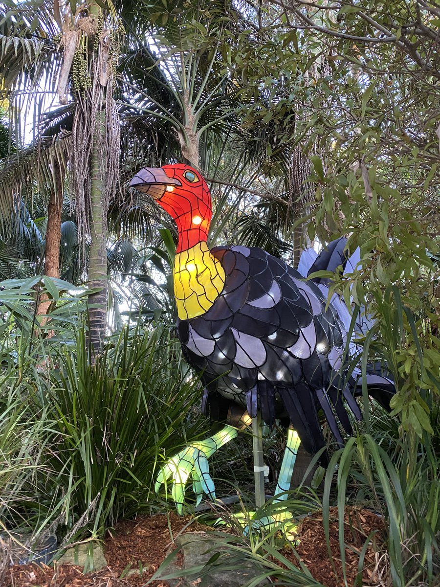Who's ready for VIVID SYDNEY 2022??   Here's a sneak peak of some light installations that will be illuminated at Taronga Zoo each night of the festival this year.