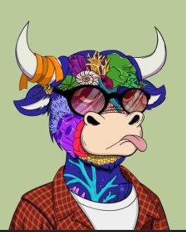 mix_nf7's tweet photo. Bulls follow bulls! RUN IT! @okaybulls I will follow every bull that interacts in this tweet #bullparty https://t.co/Qixq16XoxW