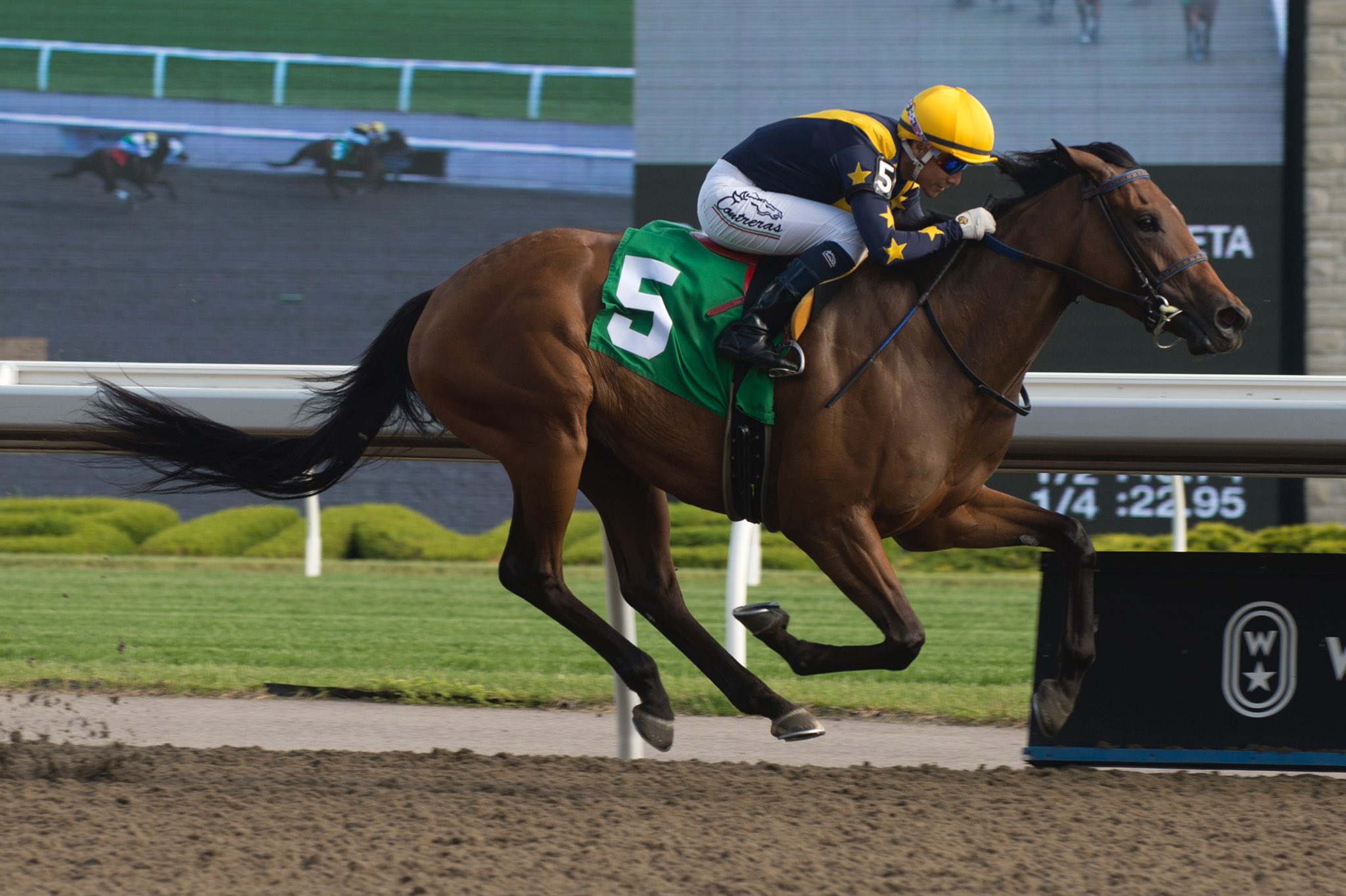 Jaime Roth on Twitter: