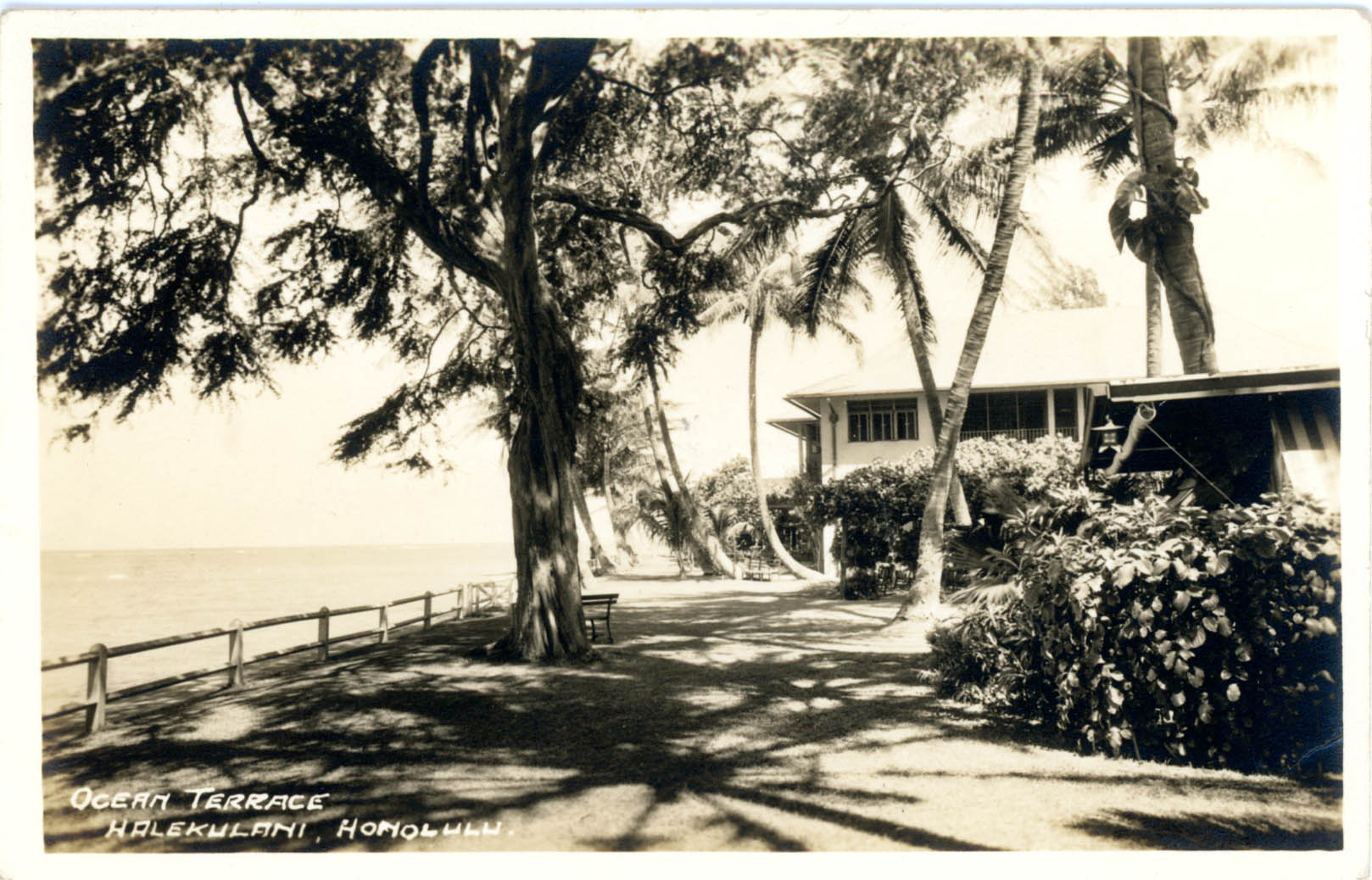 Halekulani True Or False House Without A Key Was Named After A Documentary Find Out The Correct Answer Plus Tons Of Historical Fun Facts In Our Latest Blog Post T Co Fahfzyjekh