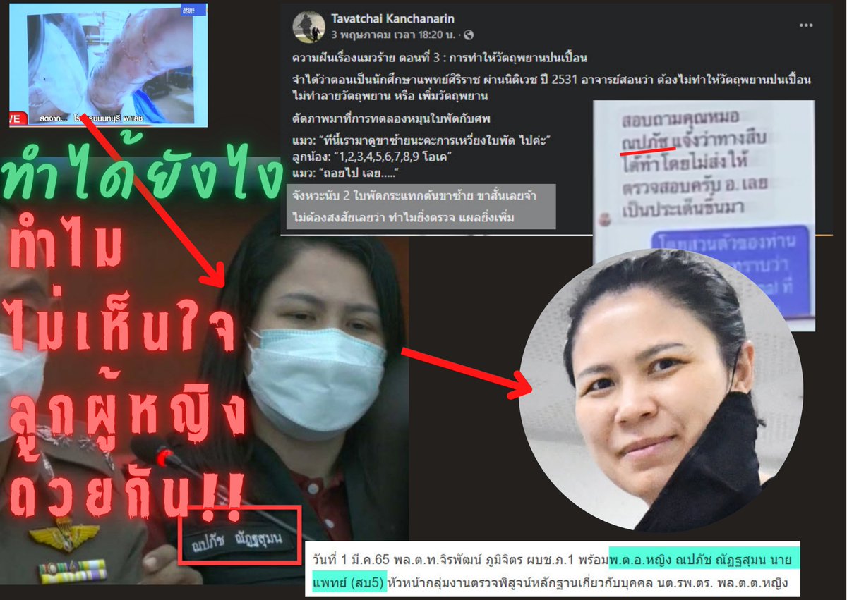 JusticeForPhattharathida tweet media