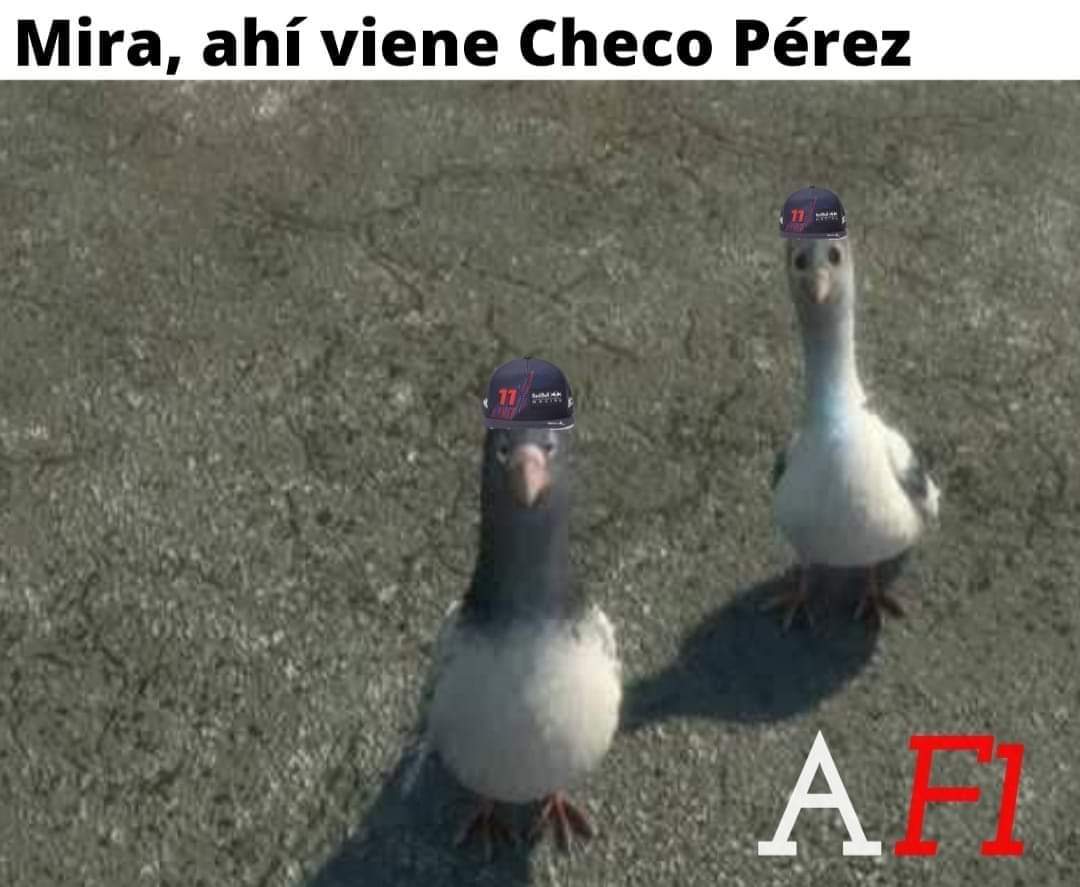 GLEZJRD's tweet photo. Red Bull te da alas y Red Bull te las quita😂
#ChecoPerez #MonacoGP #Paloma #RedBull #F1 #ViejoSabroso #checo https://t.co/9VcEr7SlPU