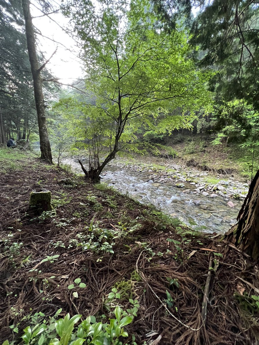 自然が大好きです