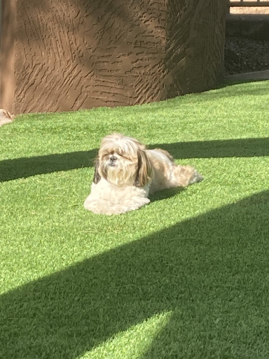 Zen