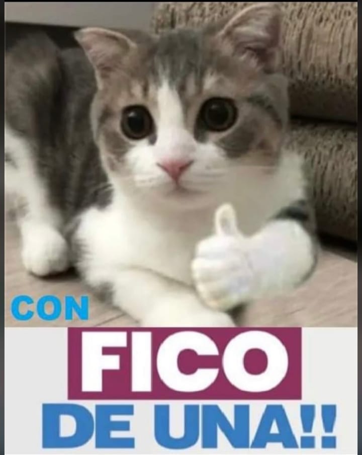 MarcosDas11's tweet photo. Yo estoy con Fico por que quiero lo mejor para el país y ya estoy cansado de las propuestas falsas de las otras campañas
#FicoElGanador
#FicoEs
#SantandereanosConFICO
#VoyConFederico https://t.co/6O31HLMEDn