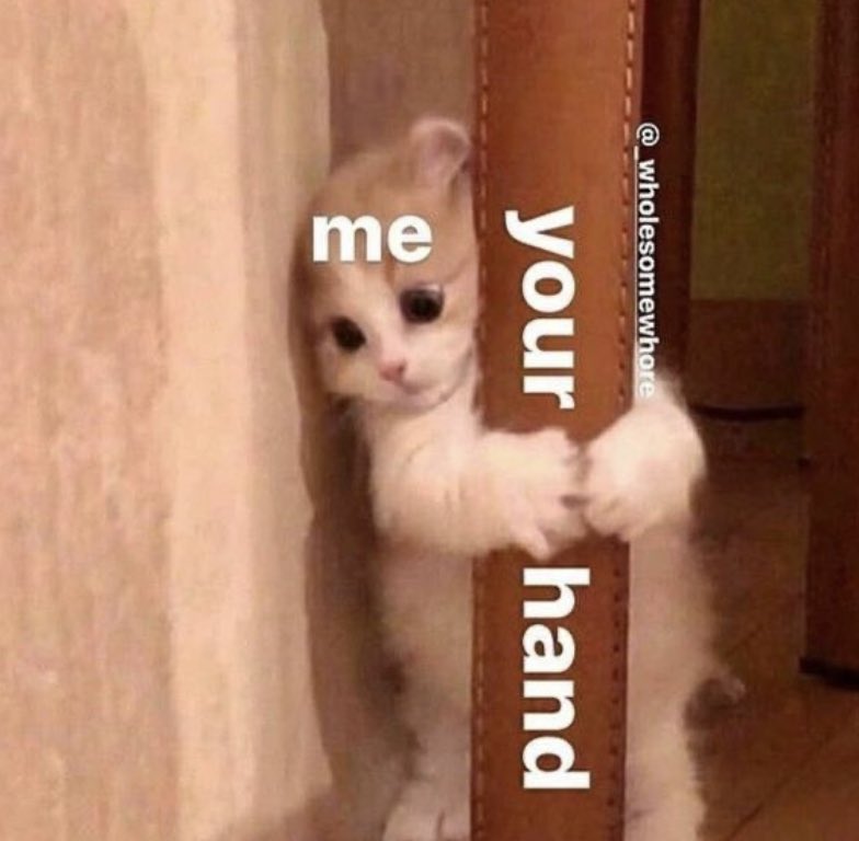 cravedcuddle's tweet photo. https://t.co/AGunFLohJc
