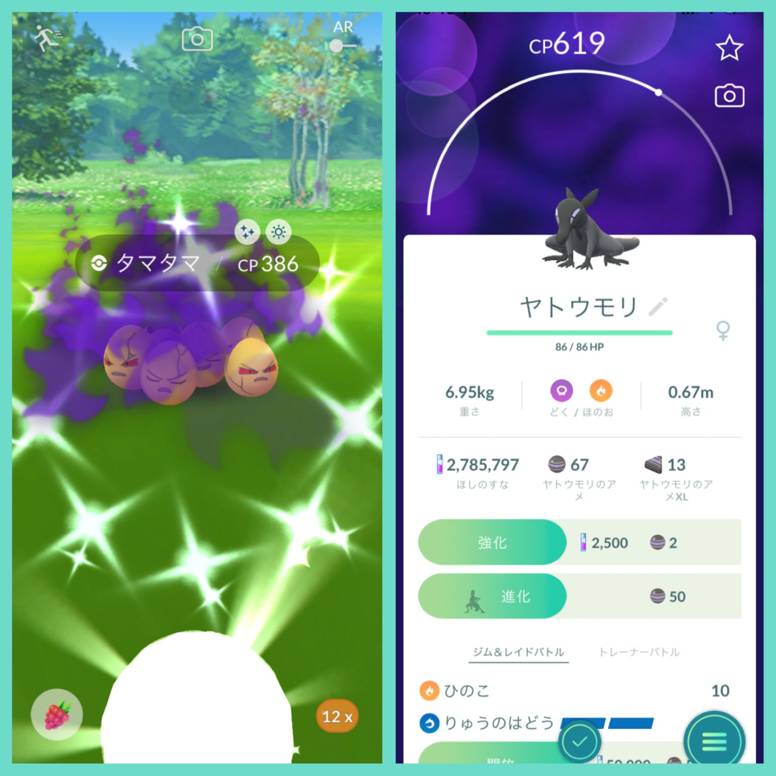 Team No 74鈴木 健斗 Pokemon Go Tl46 Min Pote Go Mintonさん おはようございます٩ ۶ 2匹目の のヤトウモリとシャドウタマタマの色違いgetおめでとうございます Twitter