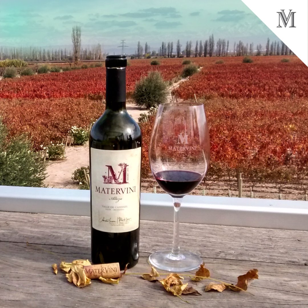 Matervini's tweet image. Los colores de otoño regalan imágenes que enamoran.
¿Te imaginás disfrutando los vinos #Matervini en las terrazas de nuestra bodega mientras apreciás esta imagen? 🍁🍷
Viví la #ExperienciaMatervini 👉🏻 exploretock.com/materviniwinery
#Argentina #Matervini #Mendoza #Argentina #vino #otoño