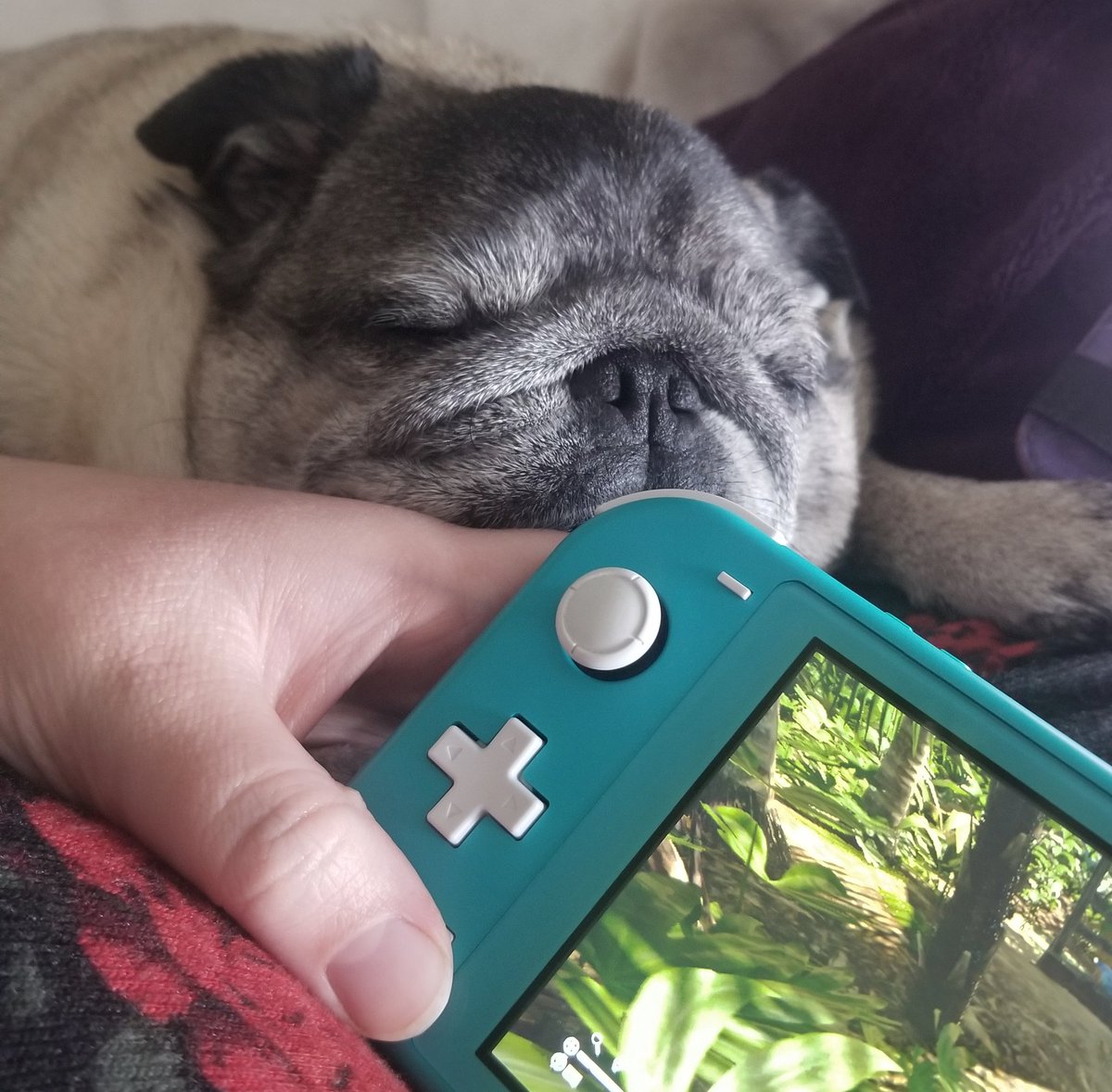 afk, player 2 is sleeping🥺🎮 <a href="/GreenHellGame/">Green Hell</a>