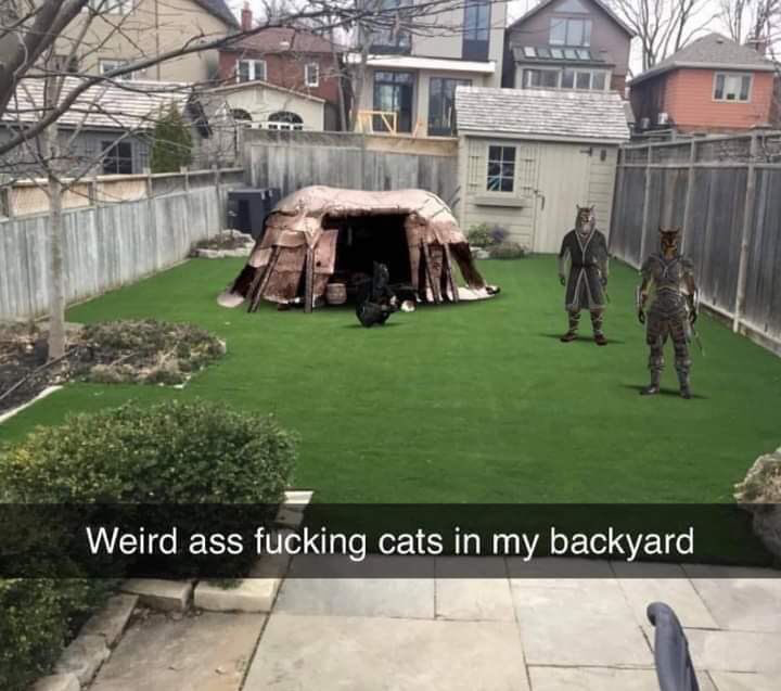 StabbityDoom's tweet photo. #elderscrolls https://t.co/Coz3ttUyPX