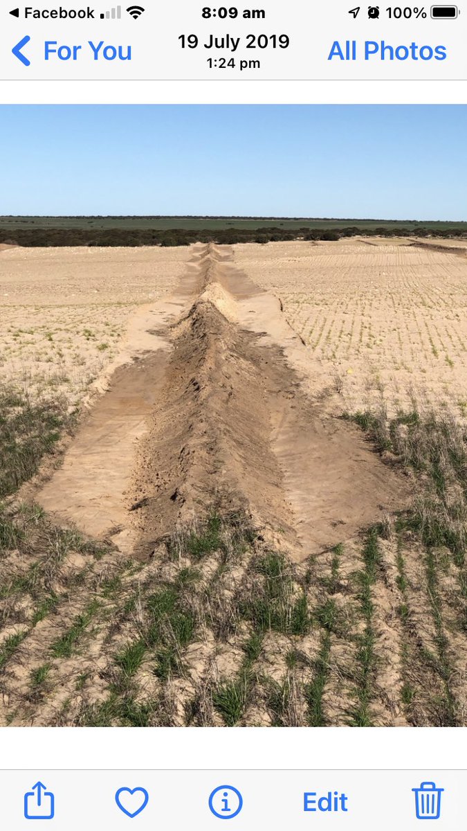 jeremy calliss tweet media