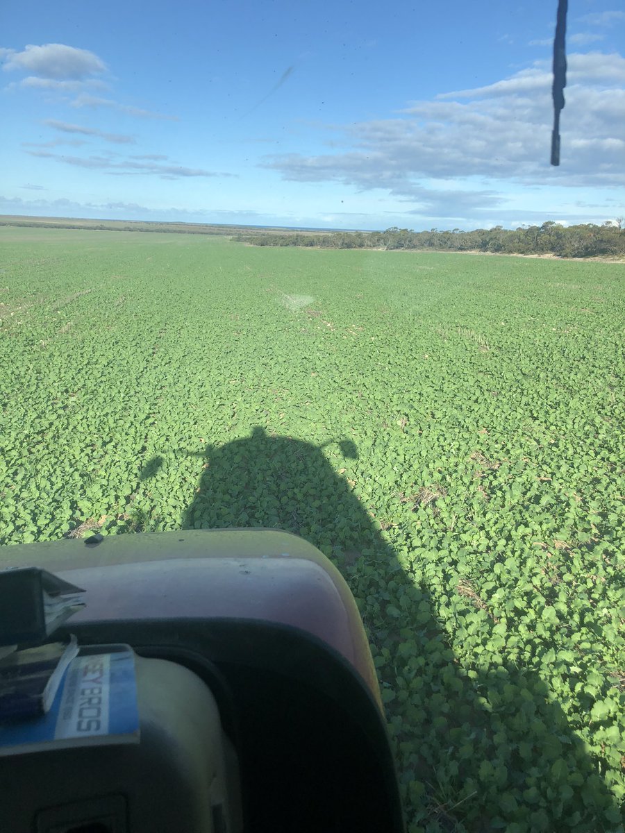 jeremy calliss tweet media