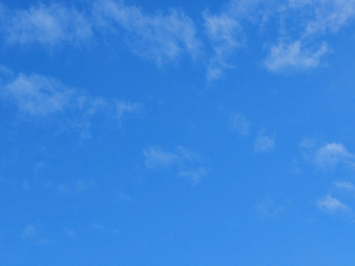 TKYC's tweet photo. Good morning Northerners.
Currently in our #DPRV, we have a glorious sunny day, with scatterd high cloud and not a breath of wind.
I hope it has stopped raining for you living on the other side of the Barassi Line. https://t.co/Nb9oGq3XjX