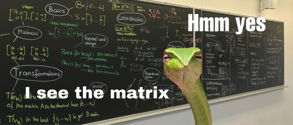 zuccerzard's tweet photo. @gracecondition @Theophite I see you bear teaching calculus and raise you this snake teaching linear algebra
#Calculus #LinearAlgebra #MathSnake https://t.co/AjBxVFsIWT