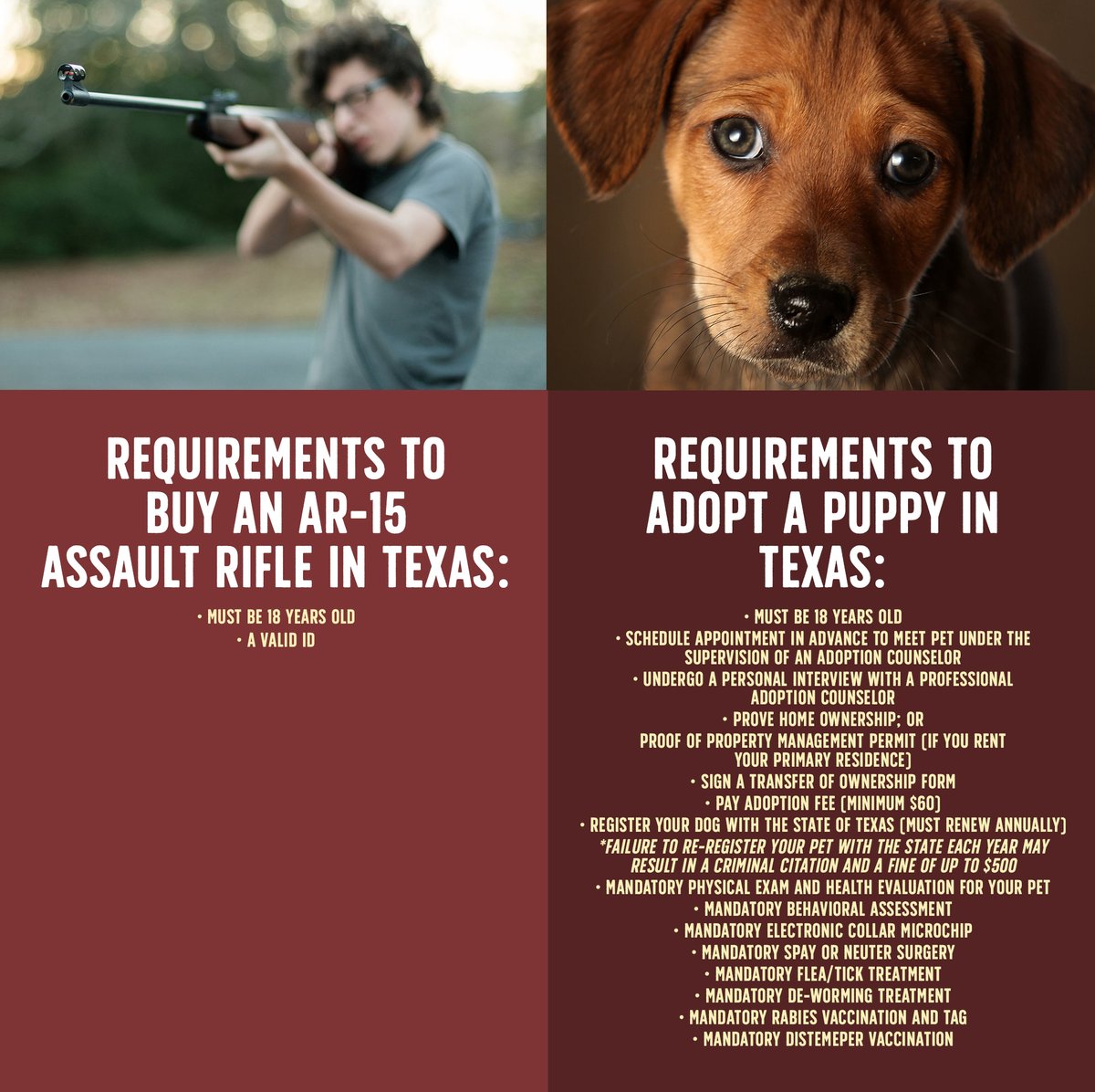 glennclarkcsm's tweet image. #dosomething #NRAconvention #NRAprotest #NRA