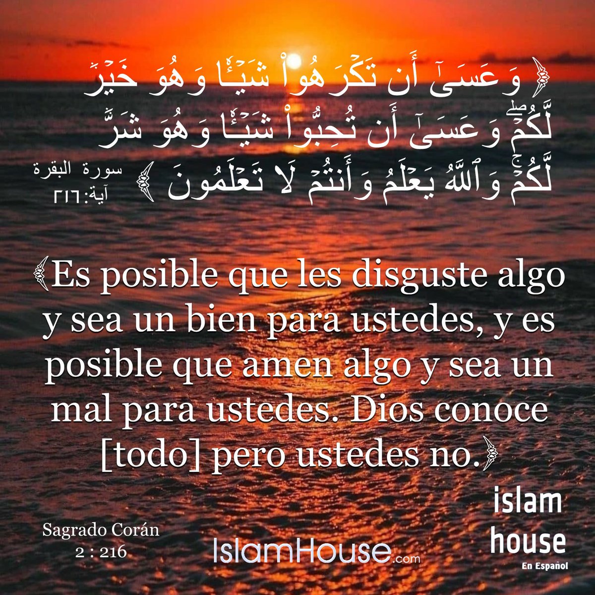 IslamHouseEs's tweet image. 