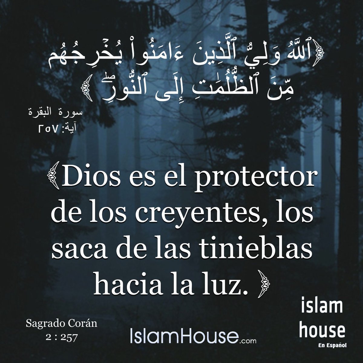 IslamHouseEs's tweet image. ☝️