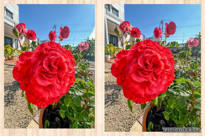 藤田重信さん の最近のツイート 8 Whotwi グラフィカルtwitter分析