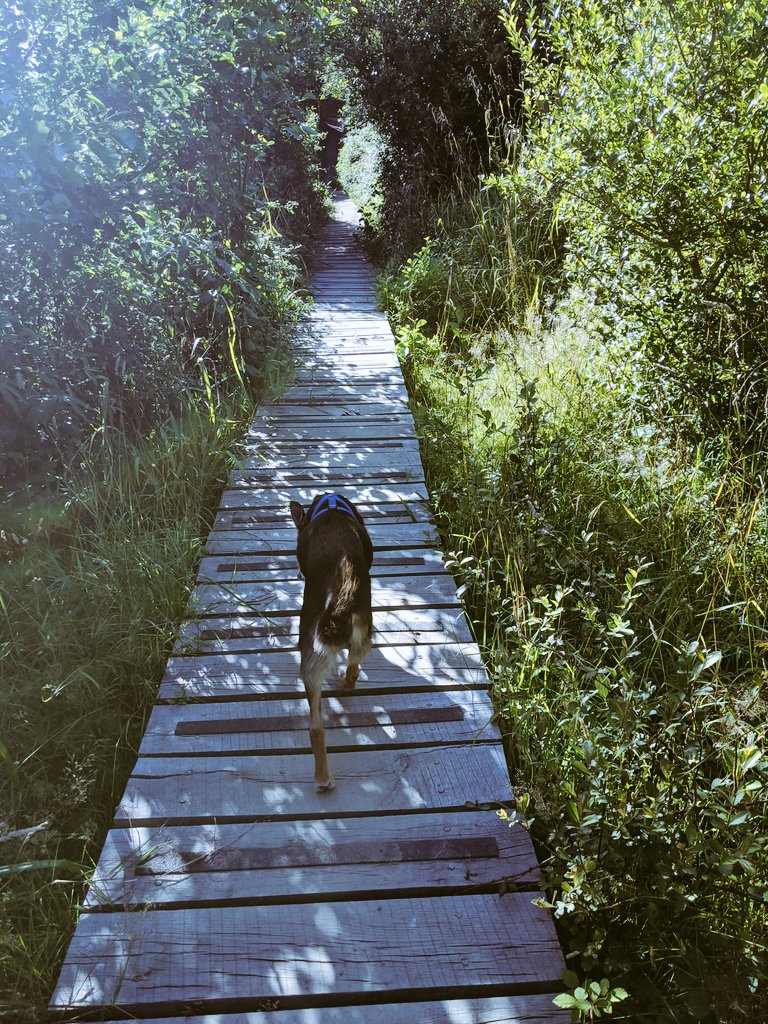 Cain 🌈 tweet media