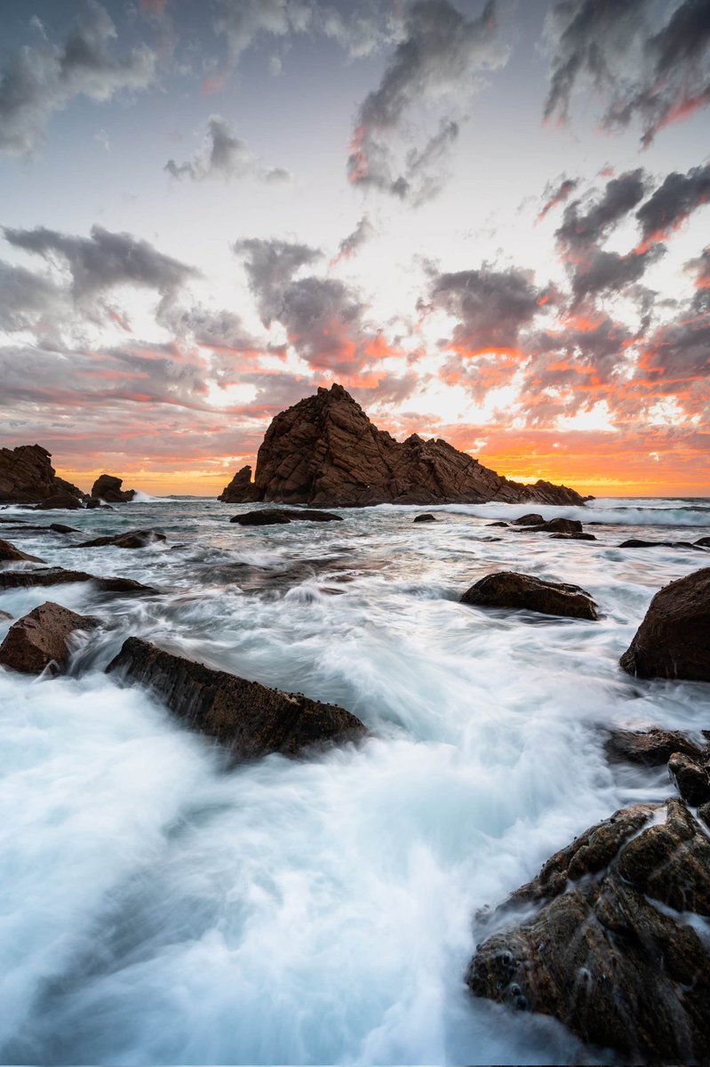 Colin Ye tweet media