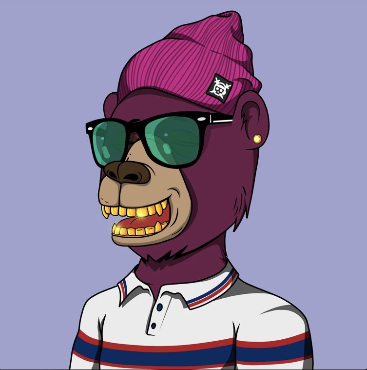 MoonBag_'s tweet image. My Gold Grillz are pretty average looking 

@averagebearsnft #CardanoNFT #ADA