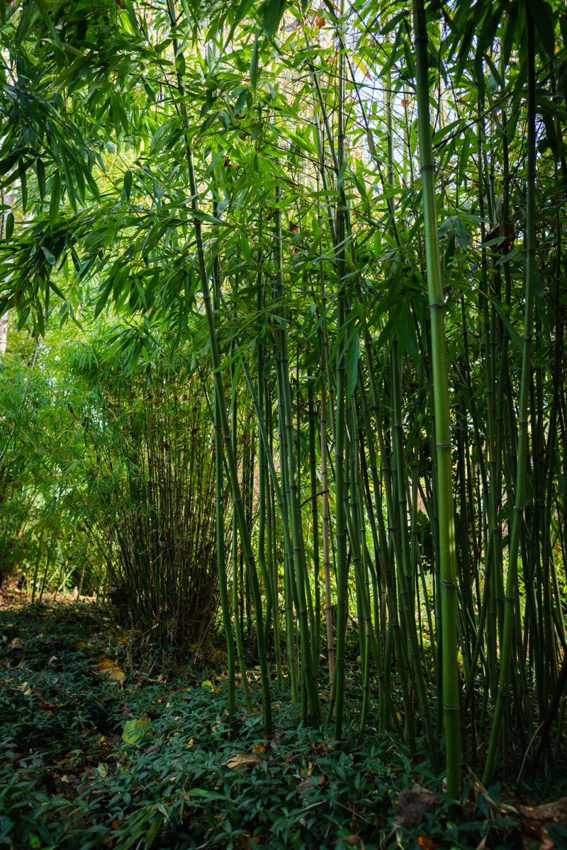 Take a peek at these gorgeous shots of our photoshoot location. We were so lucky to use this spot last weekend for our marketing campaign! 😍

Keep your eyes peeled for the BTS of this shoot over on our Instagram and TikTok!

📷 by Kohika Creative