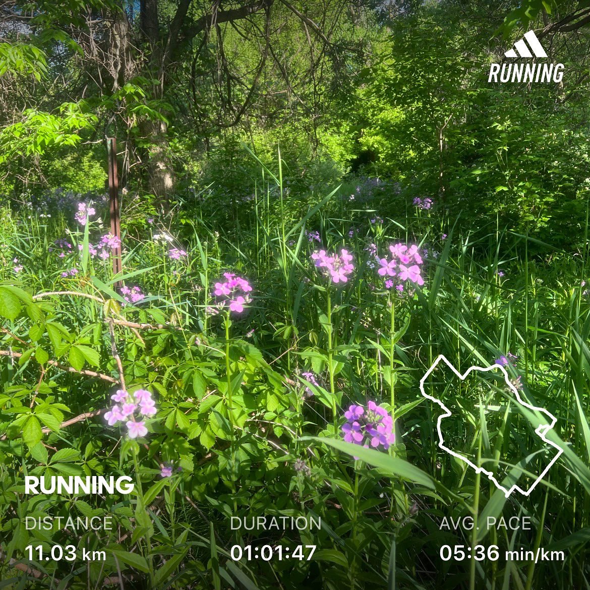 kunrup's tweet photo. Saturday evening run. Etobicoke Creek Trail #Brampton #stayactive #staymotivated #running #trailrunning #runnersdiary https://t.co/iGF2bNgfUd