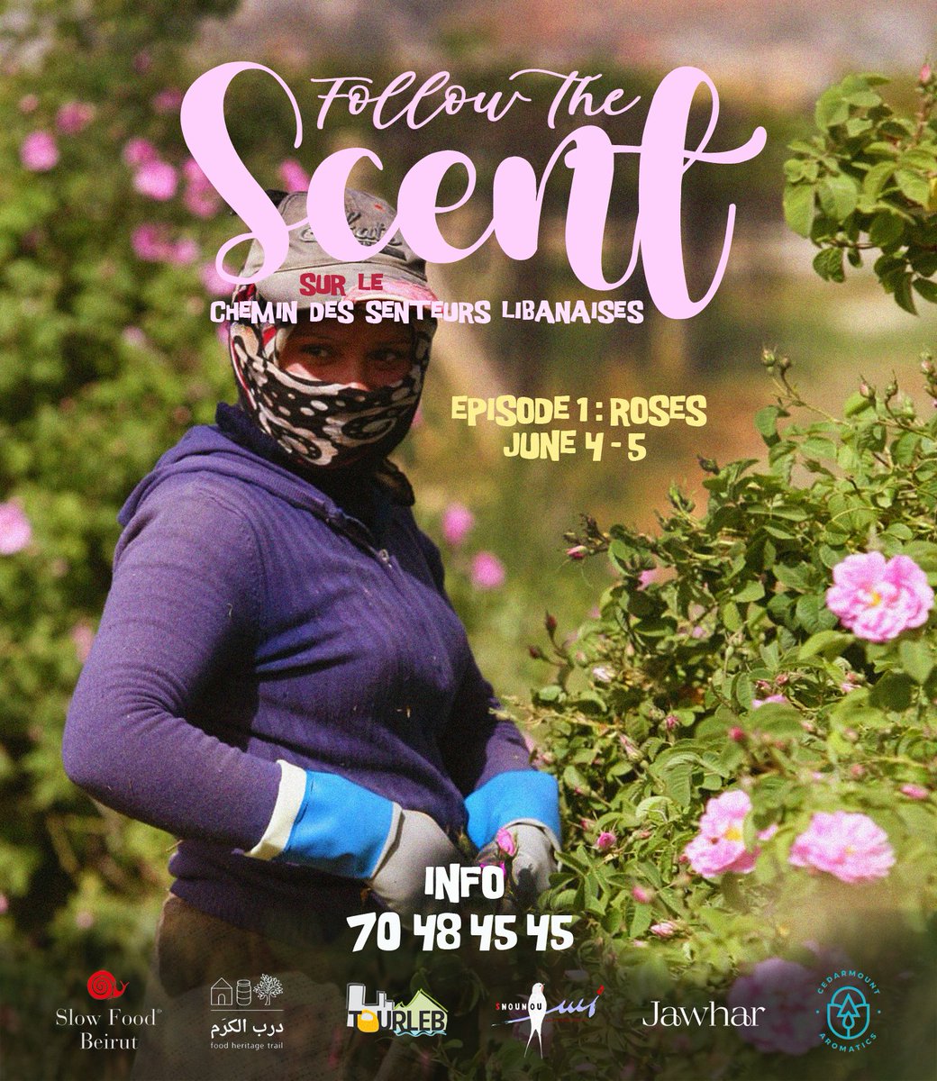 Barbara Massaad (@barbaramassaad) on Twitter photo 