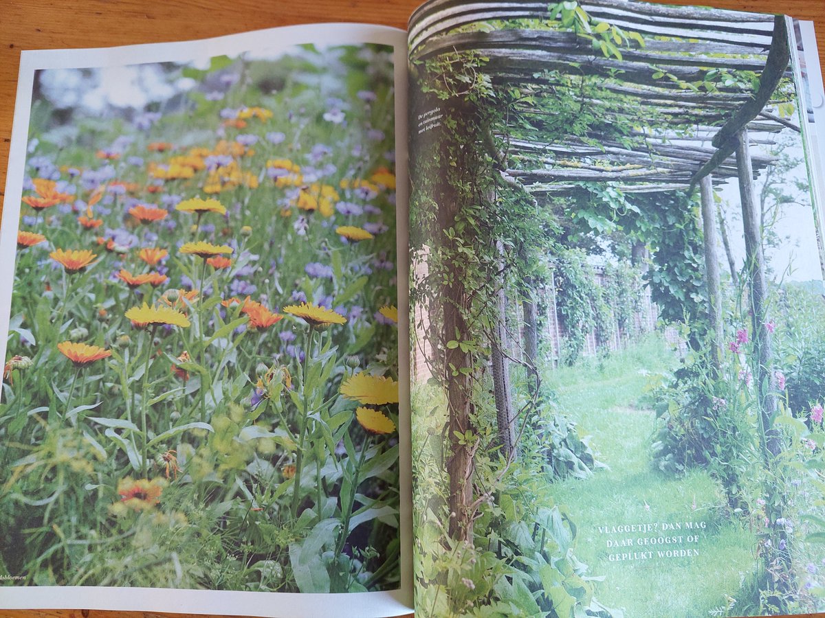 In de tuinenspecial van de Libelle mooie foto's van Moestuin Leyduin.