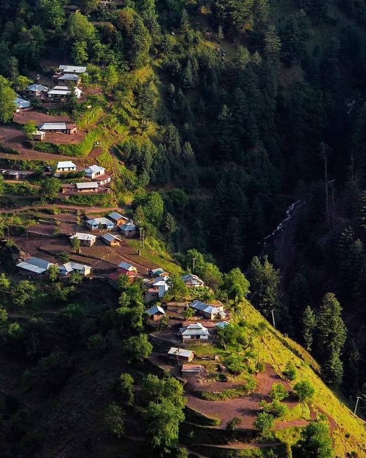 PakistanJannatt's tweet photo. Ghanool Village, Balakot
(On way back from Makra peak - Manna Meadows)
#Ghanool is a village and union council of #Mansehra District in the Khyber Pakhtunkhwa .
📸 @farooq.seerufil.arz https://t.co/sHyHWVzMI0