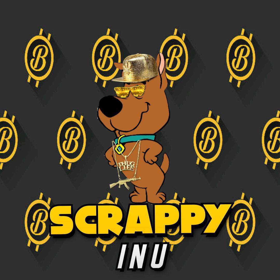 rockifiedspirit's tweet photo. @Scrappy_Inu  Been watching this since a week they have been holding nicely at 7k where most of other memes get dead a very very low entry considering what is coming !!
https://t.co/zuB89pWYWM
https://t.co/15HDlxegfq
WEB:
https://t.co/P2xgMct4So
DYOR https://t.co/KpxQp9ldhF