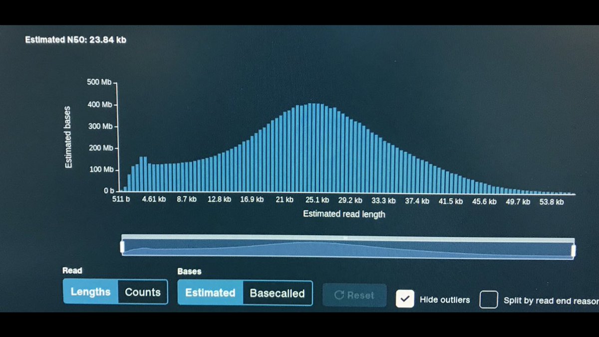 It’s alive!😄 P2 solo off the blocks in the wild. <a href="/nanopore/">Oxford Nanopore</a>