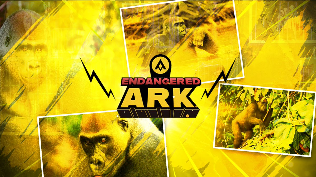 Endangered Ark is more than an NFT project. We are on Mission to make a lasting impact on this world. 🦍

<a href="/pasaprimates/">PASA Primates</a> 
<a href="/gorillasgabon/">Projet Gorille Fernan-Vaz, Gabon</a> 
#Ethereum #NFTs #nftart #NFTCommunity #gorillas #Apes #NFTdrops #WAGMI #Africa