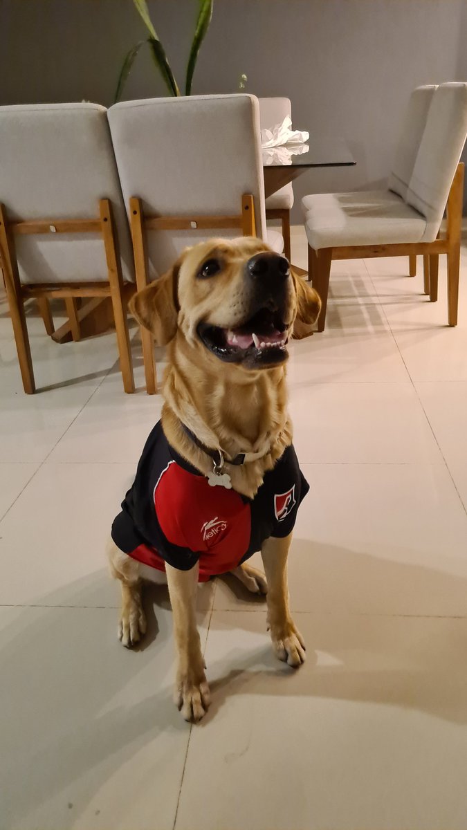 Lucas feliz y rojinegro