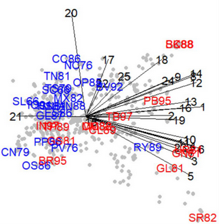 ANZJStat's tweet photo. Genomic prediction model to visualise the pattern of genotype performance over 25 years. https://t.co/ppAxApW4Ui https://t.co/mLvLRZlS0U