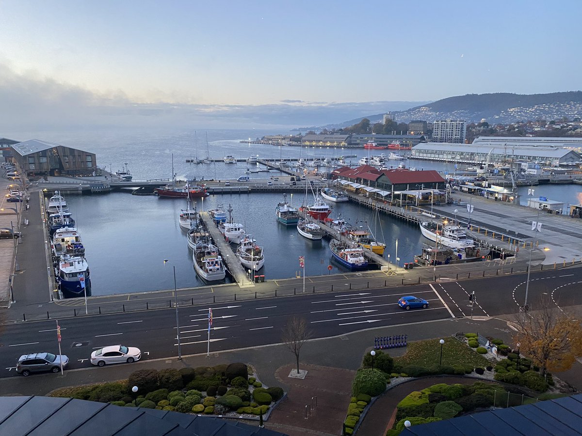 LandyClare's tweet image. Final workshop today in Hobart after ALA 2022