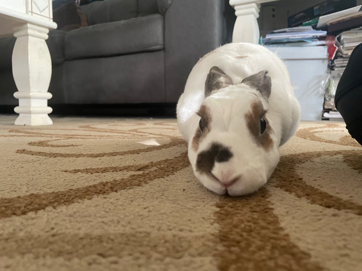 table thoughts ™ tweet media