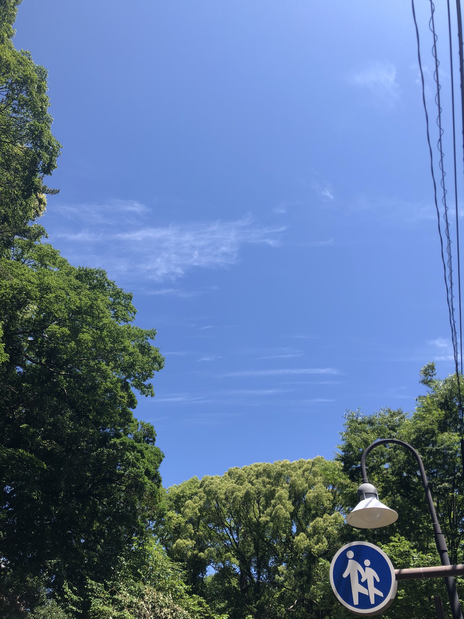 富田薫 on Twitter: "いやいやいや〜福岡市の気温はすでに28度に達しました。屋外で作業をする方は熱中症にご注意ください。この後は