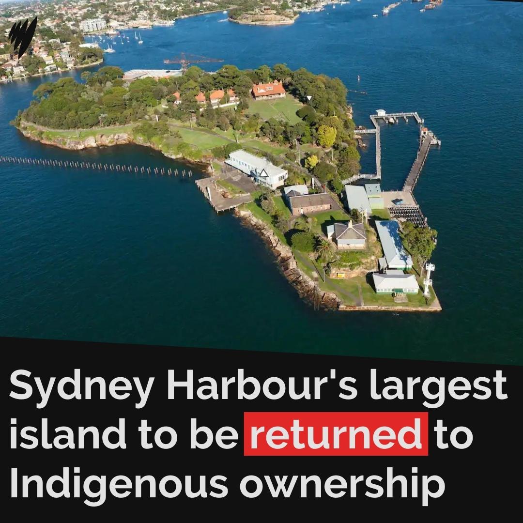 SBS News tweet media