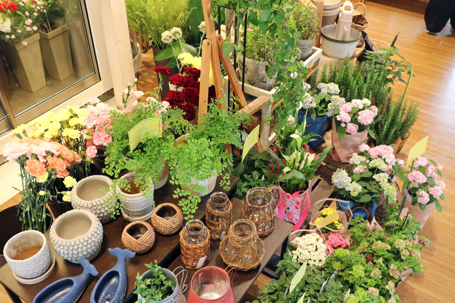 フラノマルシェ 本日のはなや日々色 観葉植物やハーブなどグリーングリーンした鉢植えが揃い とってもボタニカルな癒しの空間となっています 富良野 花屋 ハーブ T Co R49eaobp9d Twitter