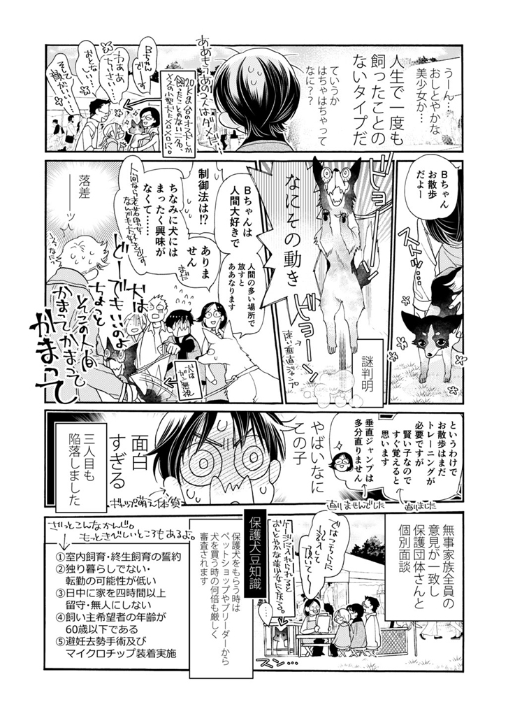 『譲渡会で新しい家族を見つけたときの話』
2年前のメロディ掲載の、うちの桐をもらってきた当時を描いたマンガです。
紙雑誌用原稿だったため、文字など大変こまかくてすみません。拡大がんばってください!
(※公開許可をくれたメロディ編集部に感謝します)【山田】
#保護犬 #譲渡会 