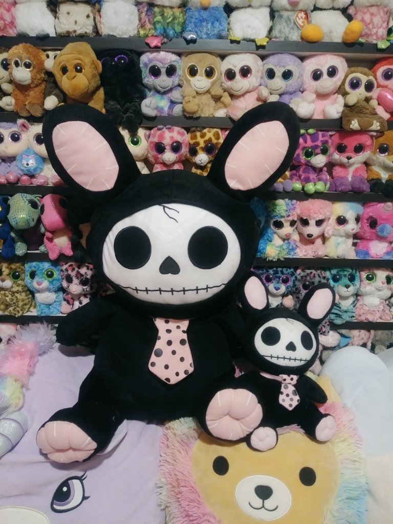Miichel701's tweet photo. #furrybones #skeleton #plushies #bunny #rabbit #kawaii #plush #toys #collectibles #ty #stuffedanimals #beanieboos #collector #freaky #skeleton #collection https://t.co/qXLhR5iRsz