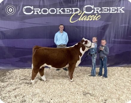 BornRanches's tweet image. Lot 11 from the @pwroftheplains strikes again for the Boxwell family! Reserve Grand Overall at the Crooked Creek Classic! Congrats to all involved!