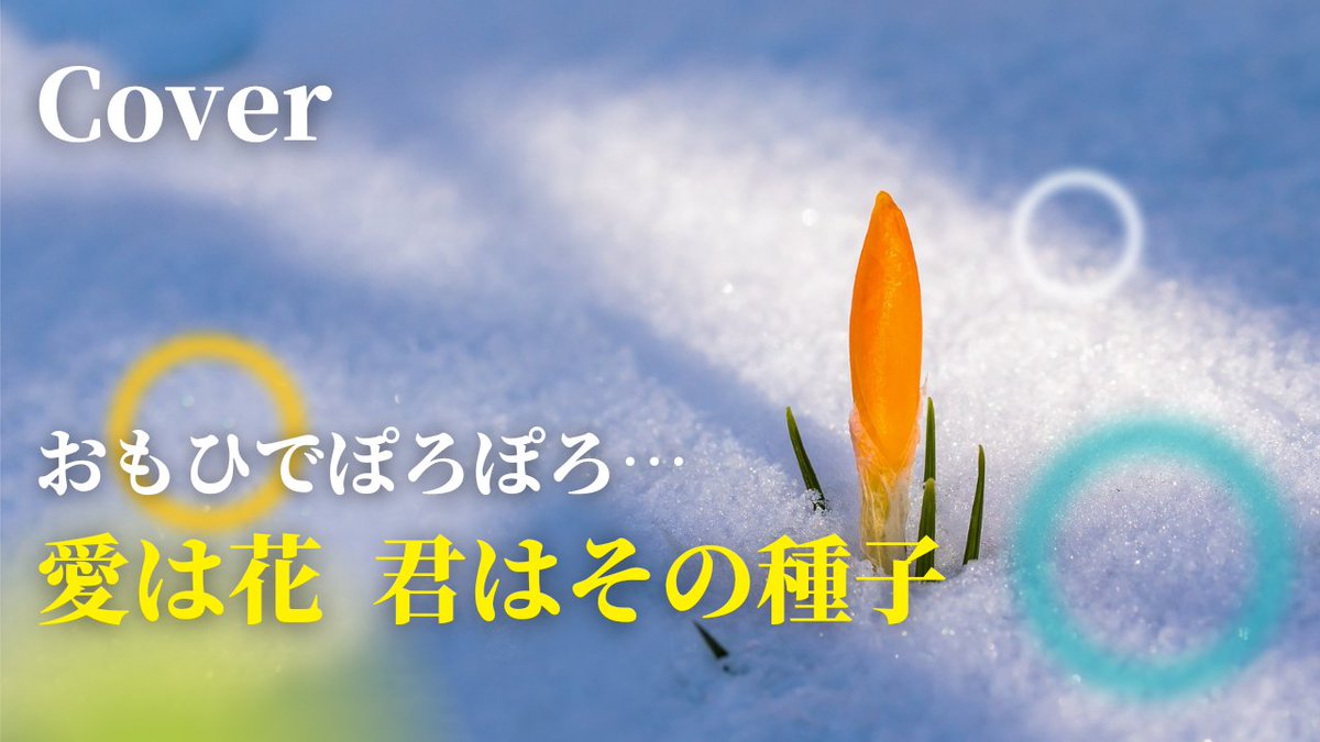 おもひでぽろぽろ 種子 最新情報まとめ みんなの評価 レビューが見れる ナウティスモーション