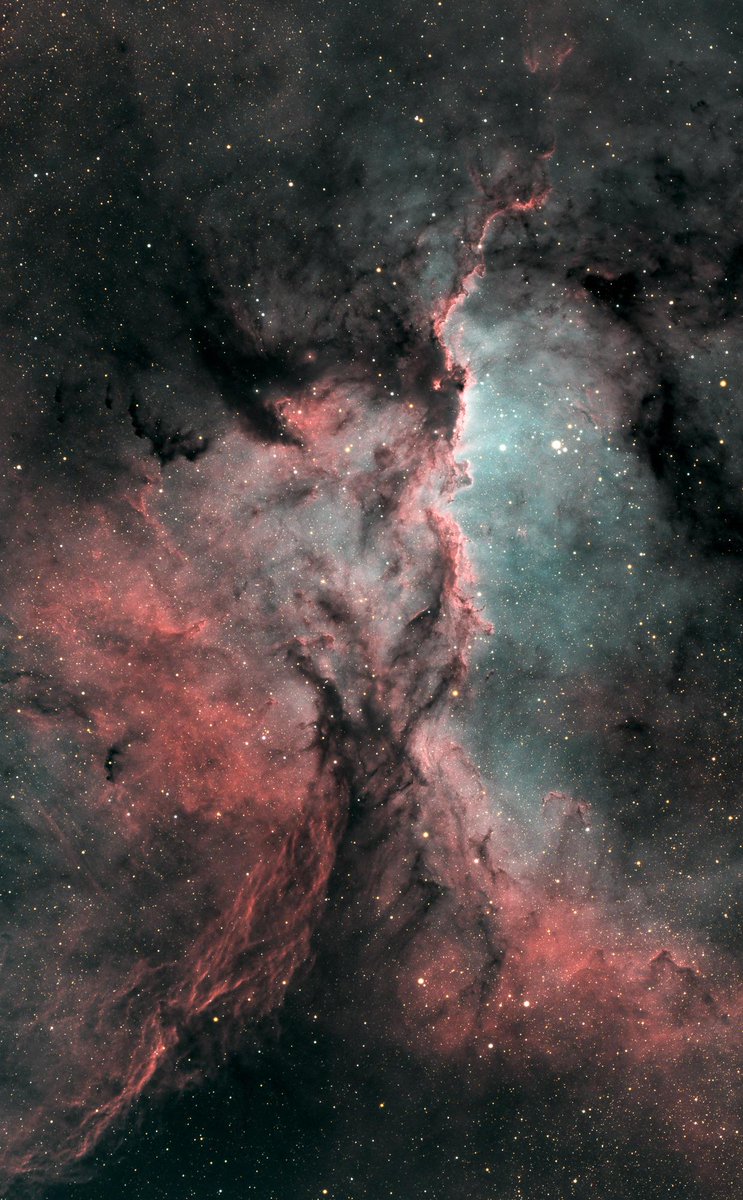 astrophotosnap's tweet photo. The Fighting Dragons of Ara, NGC 6188 https://t.co/HMywAdbmy9
