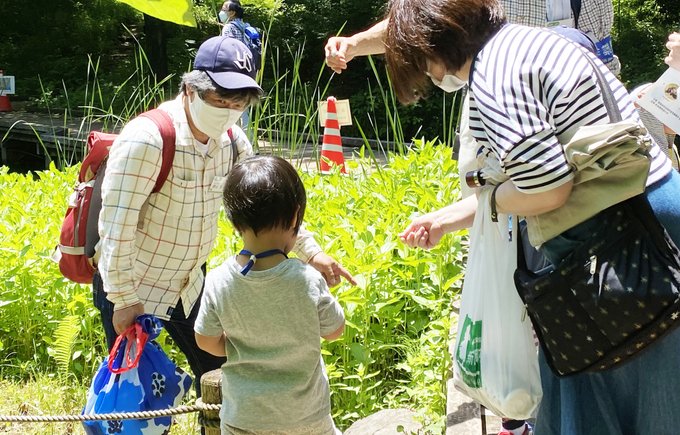 自然教室のtwitterイラスト検索結果